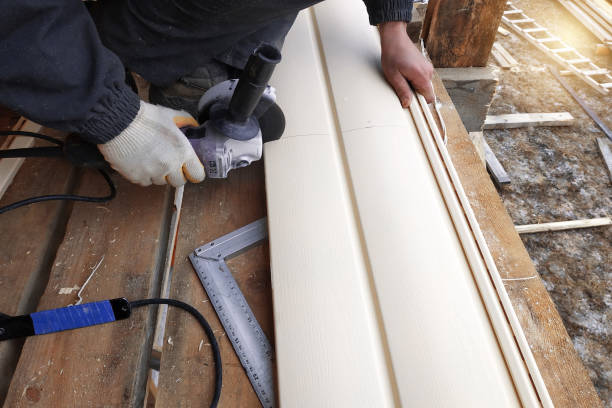 Best Vinyl Siding Installation  in South Houston, TX