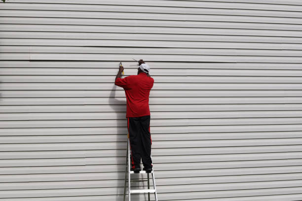 Best Steel Siding Installation  in South Houston, TX